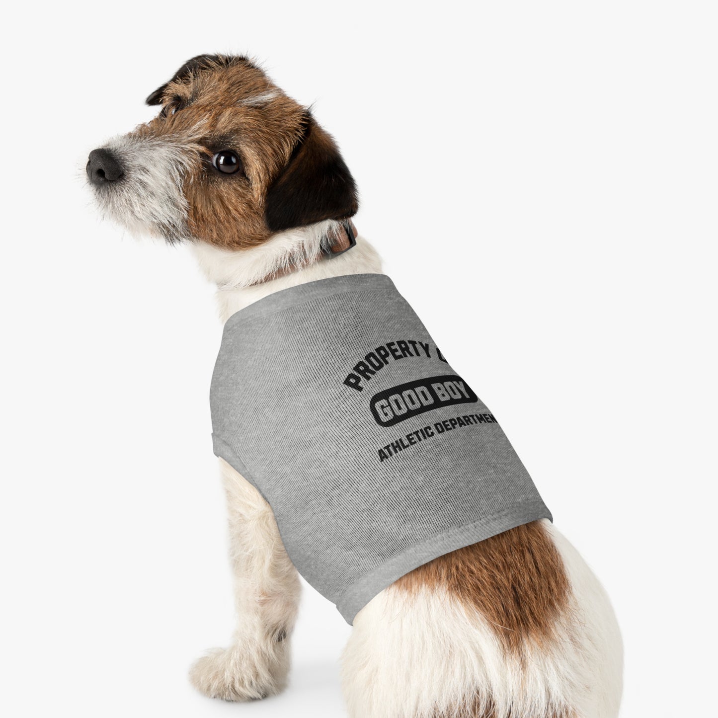 Property of Good Boy - Classic Dog T-Shirt