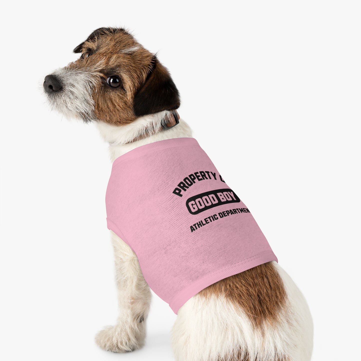 Property of Good Boy - Classic Dog T-Shirt