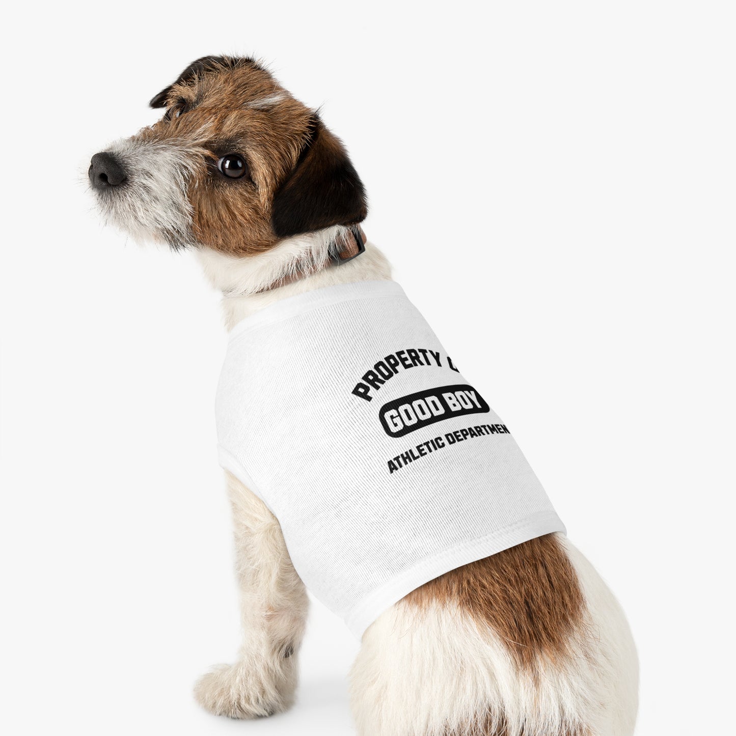 Property of Good Boy - Classic Dog T-Shirt