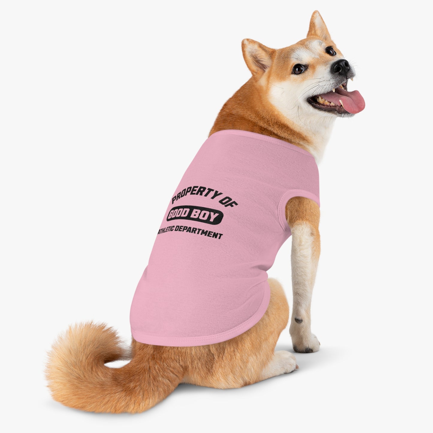 Property of Good Boy - Classic Dog T-Shirt